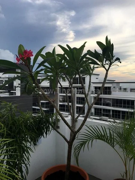 Room (Condo) for Rent in  Citylife @ Tampines - Image 4