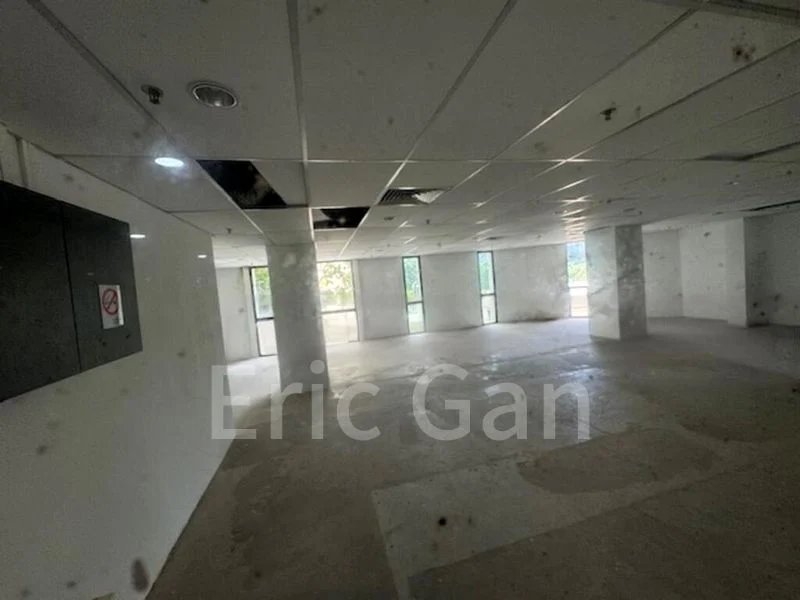 Other Retail for Rent: Orchard Plaza - Image 4