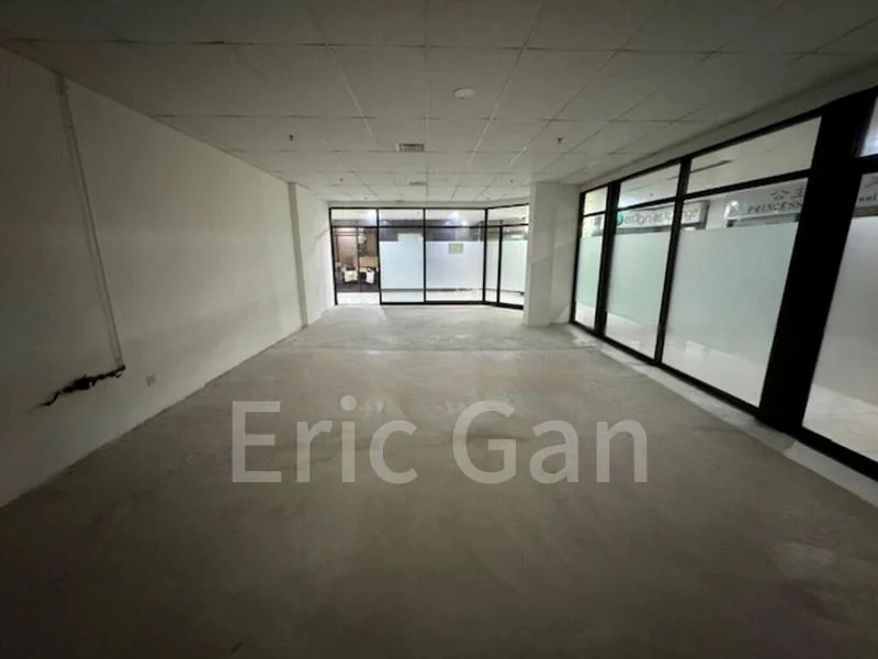 Other Retail for Rent: Orchard Plaza - Image 2