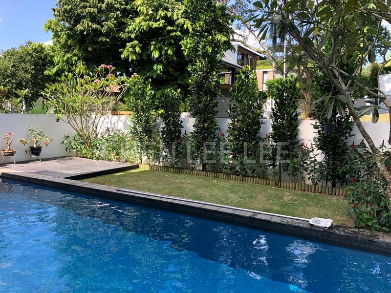 5 Bed Bungalow (Landed) for Rent in  Shamrock Park - Image 1