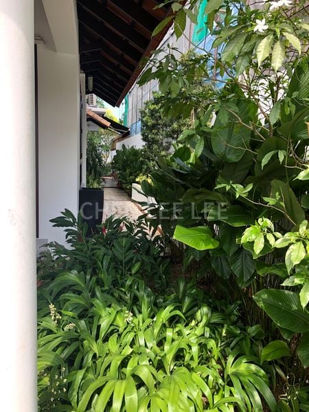 5 Bed Bungalow (Landed) for Rent in  Shamrock Park - Image 4