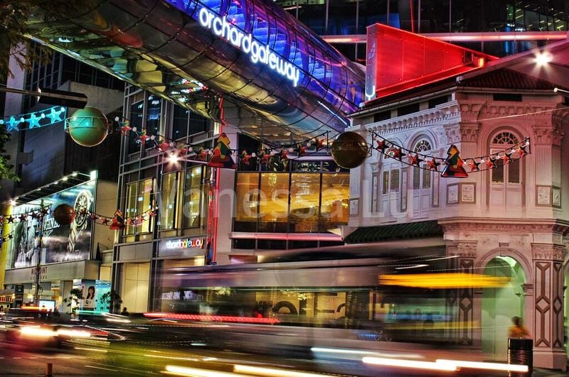 Other Retail for Rent: Orchard Gateway - Image 2