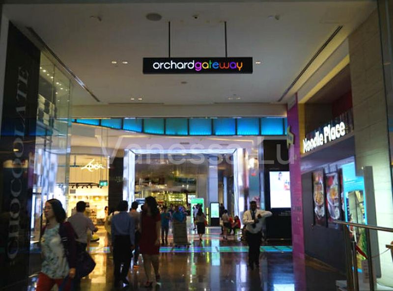 Other Retail for Rent: Orchard Gateway - Image 1