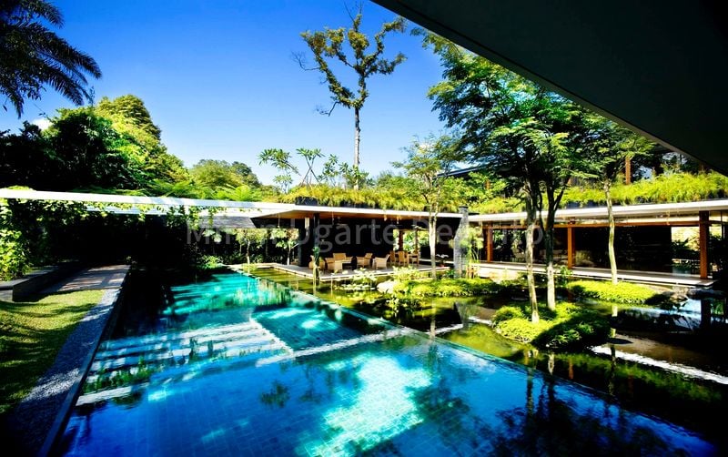 6 Bed Bungalow (Landed) for Rent in Cluny Road - Image 6