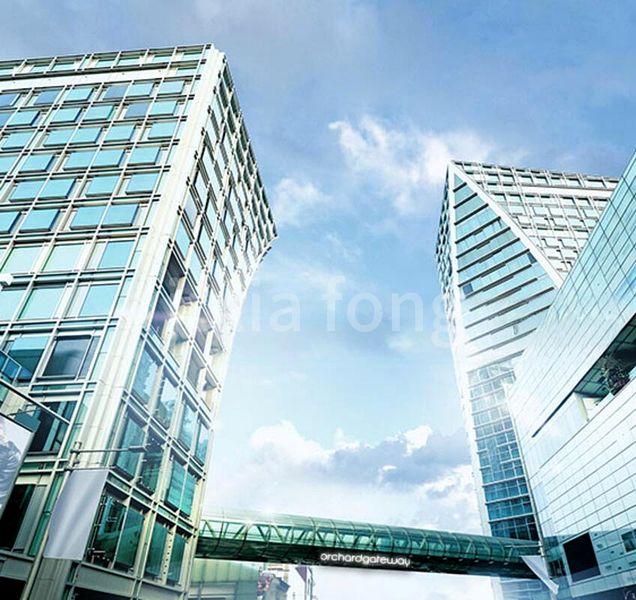 Shop / Shophouse for Rent: Orchard Gateway - Image 6