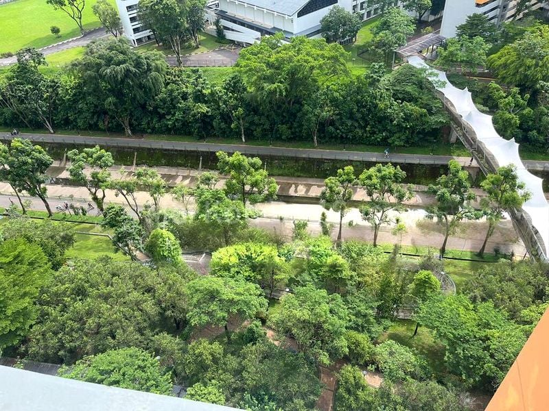 Common Room (HDB) for Rent in  22 Ghim Moh Link - Image 7