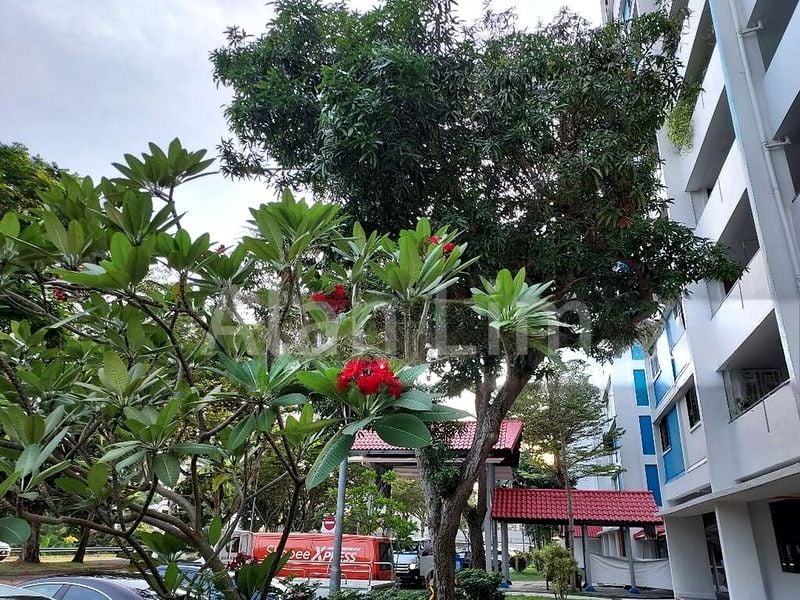 Master Room (HDB) for Rent in  476 Ang Mo Kio Avenue 10 - Image 1