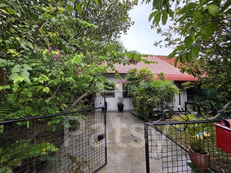 2 Bed Semi-Detached House (Landed) for Rent in Saint Patrick's Terrace - Image 1