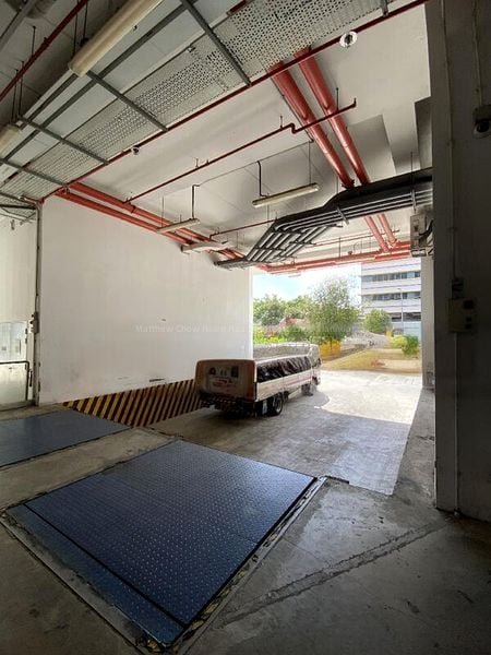Factory / Workshop (B2) for Rent: 9 Tampines Industrial Drive - Image 6
