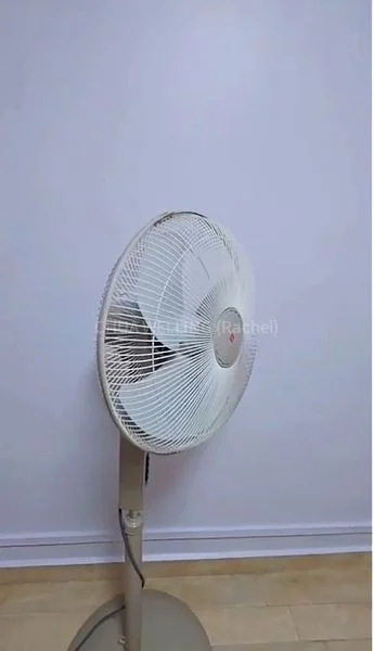 Common Room (HDB) for Rent in  9 Holland Avenue - Image 2