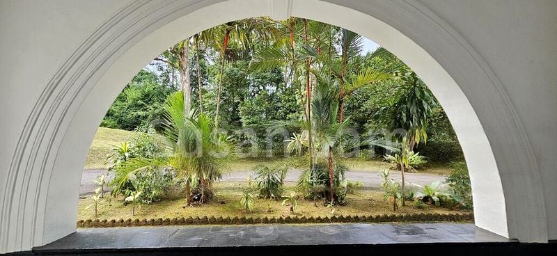 6 Bed Bungalow (Landed) for Rent in Mount Pleasant Road - Image 12