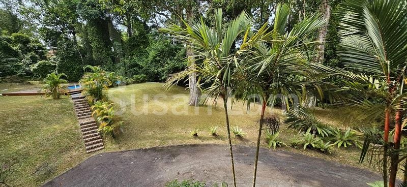 6 Bed Bungalow (Landed) for Rent in Mount Pleasant Road - Image 3