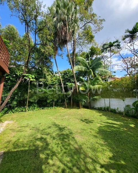 6 Bed Bungalow (Landed) for Rent in  Cluny Park - Image 8