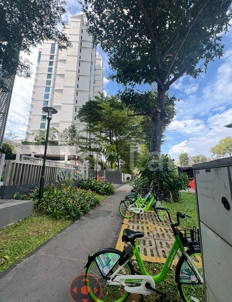 Common Room (Condo) for Rent in  Dunman View - Image 13
