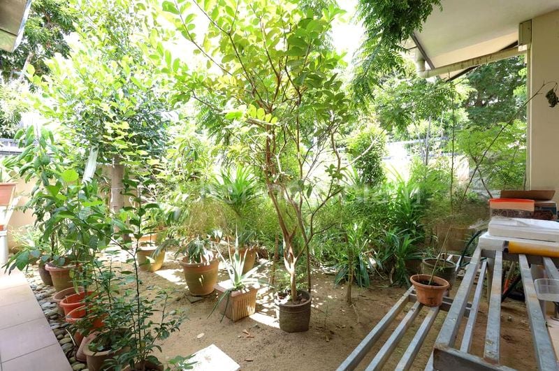 5 Bed Corner Terrace (Landed) for Sale in  Thrift Drive - Image 2