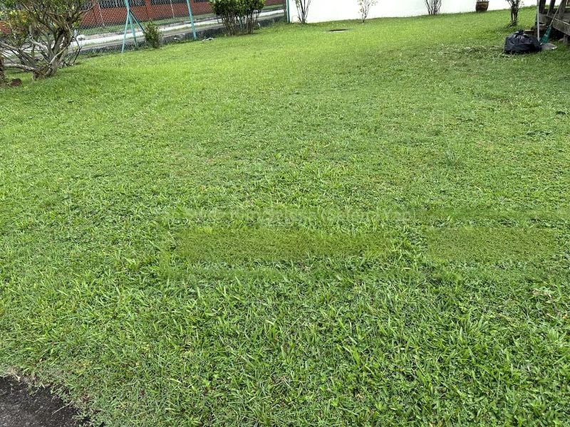 5 Bed Bungalow (Landed) for Sale in Lynwood Eight - Image 9