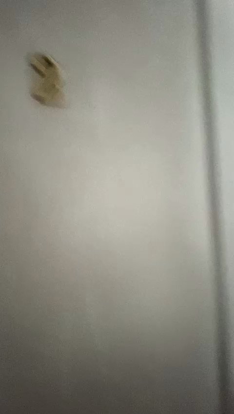 Common Room (Condo) for Rent in  Ritz Mansion - Image 9