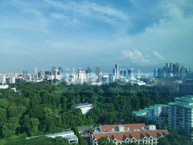 5 Bed Condo for Sale in  Alba - Image 9