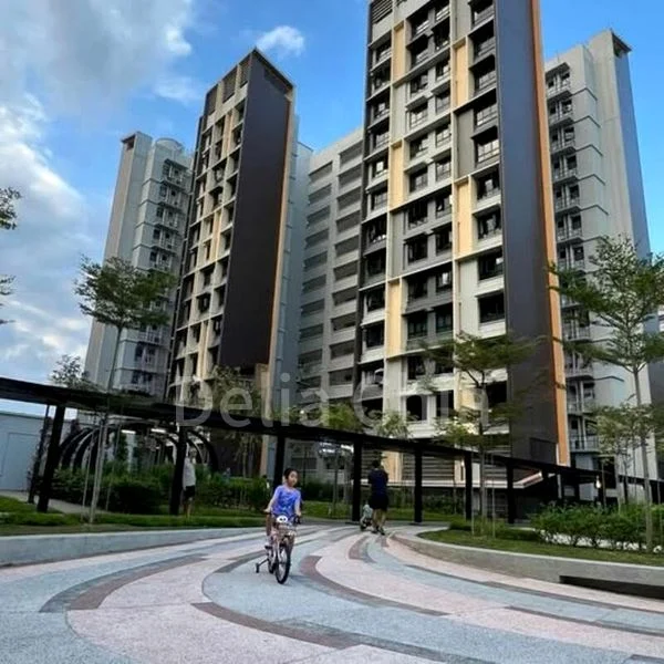 Common Room (HDB) for Rent in  215B Bidadari Park Drive - Image 3