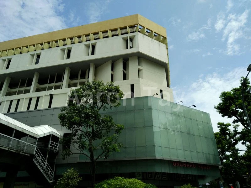 Mall Shop for Rent in  Orchard Plaza - Image 1