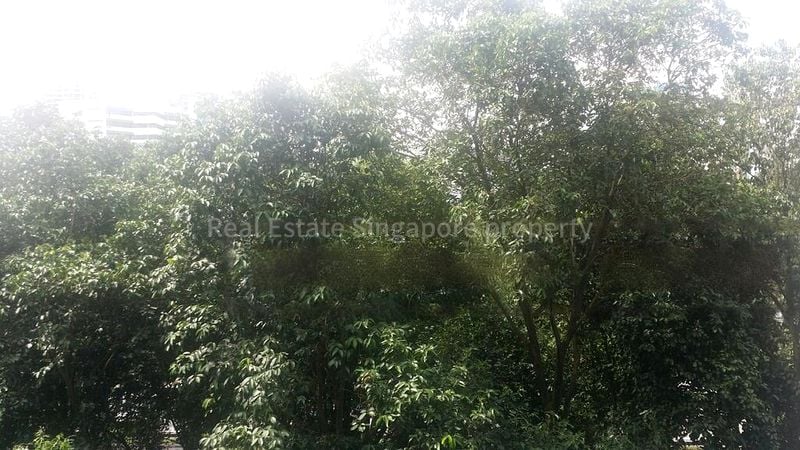 1 Bed Condo for Rent in Hundred Trees - Image 6