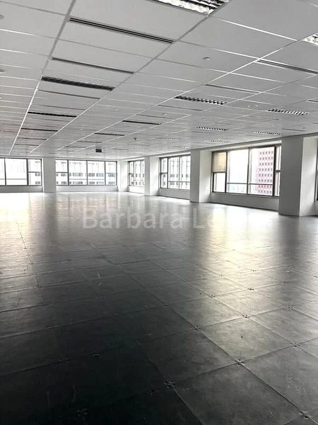 Office for Rent: Orchard Road - Image 2