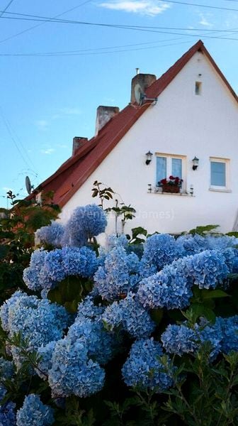 4 Bed Bungalow (Landed) for Sale in  Keng Chin Road - Image 8