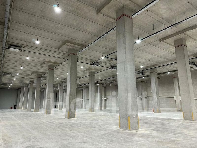 Warehouse for Rent: Tuas Ground Floor, Air-Conditioned Warehouse - Image 6