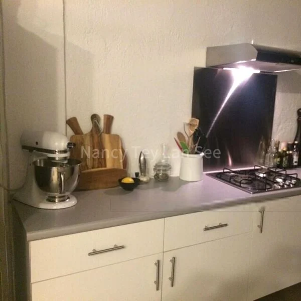 1 Bed Conservation House (Landed) for Rent in  Blair Plain Conservation Area - Image 15