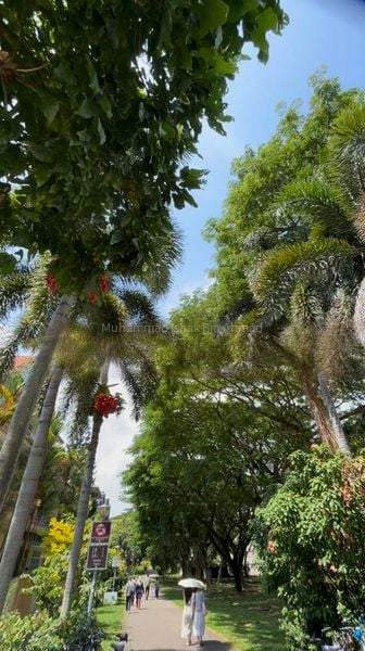 4 Bed Terraced House (Landed) for Sale in  Opera Estate - Image 2