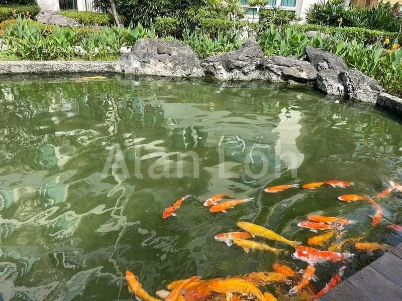 Master Room (Condo) for Rent in  Edelweiss Park Condominium - Image 7