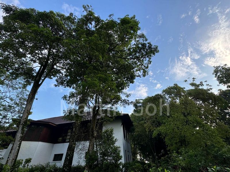 10 Bed Bungalow (Landed) for Sale in  College Green - Image 2