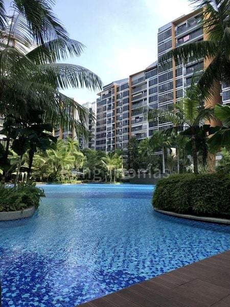 Common Room (Condo) for Rent in  Coco Palms - Image 4