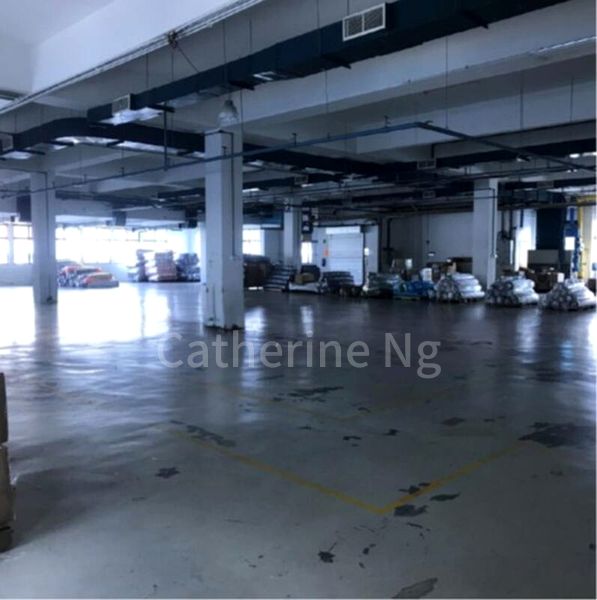 For Sale: Changi South | Facing Main Thoroughfare - Image 4