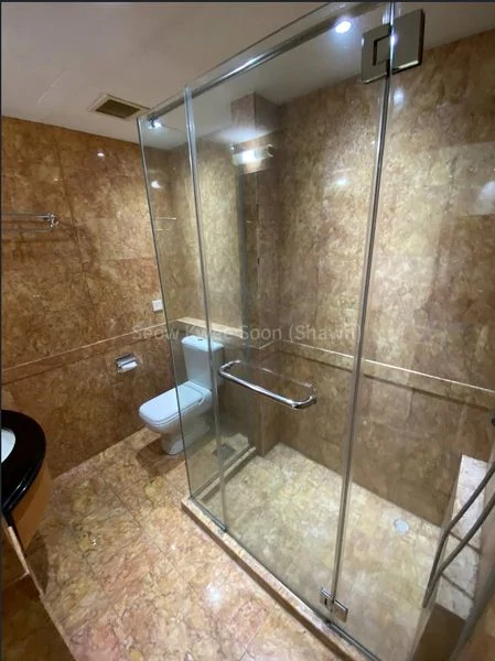 Studio Condo for Rent in  Orchard Scotts - Image 5