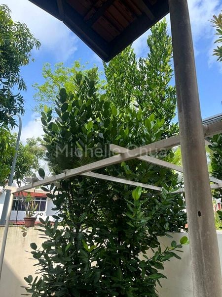 5 Bed Terraced House (Landed) for Rent in  Lorong Ah Soo - Image 2