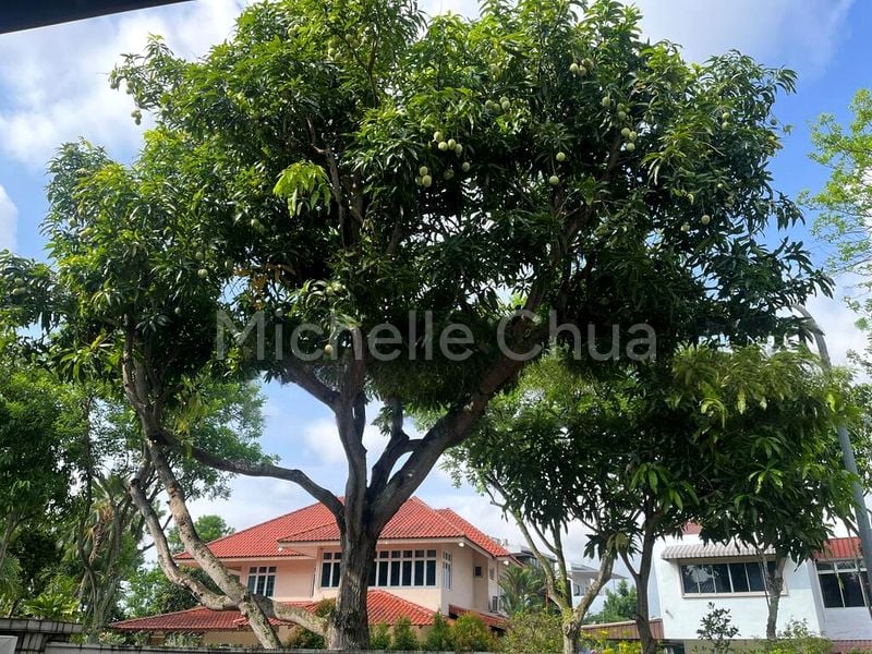 5 Bed Terraced House (Landed) for Rent in  Lorong Ah Soo - Image 3