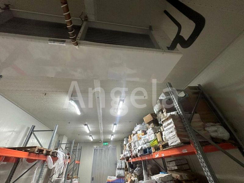 Factory / Workshop (B2) for Rent: CT Foodchain - Image 3