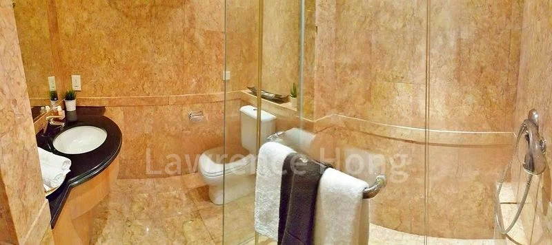 Studio Condo for Rent in  Orchard Scotts - Image 9