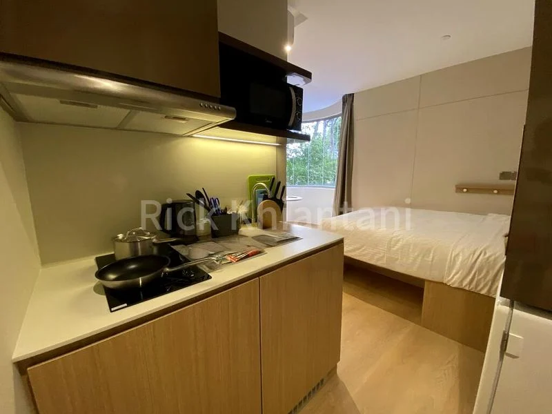 1 Bed Condo for Rent in  2 Mount Elizabeth Link - Image 19