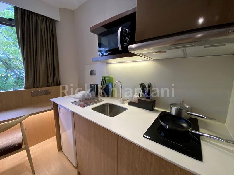 1 Bed Condo for Rent in  2 Mount Elizabeth Link - Image 6