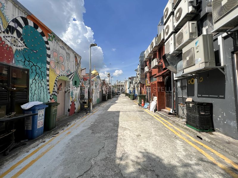 Shop / Shophouse for Sale: Arab Street - Image 2