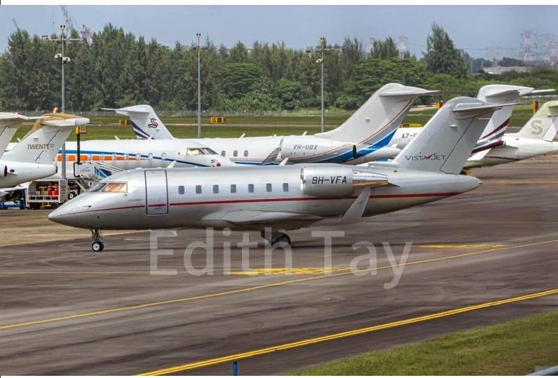 Factory / Workshop (B2) for Sale: High-Spec Industrial Facility in Seletar Aerospace - Image 1