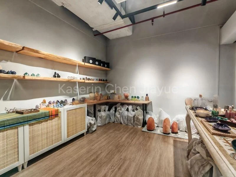 Shop / Shophouse for Sale: Bukit Timah Shopping Centre - Image 1