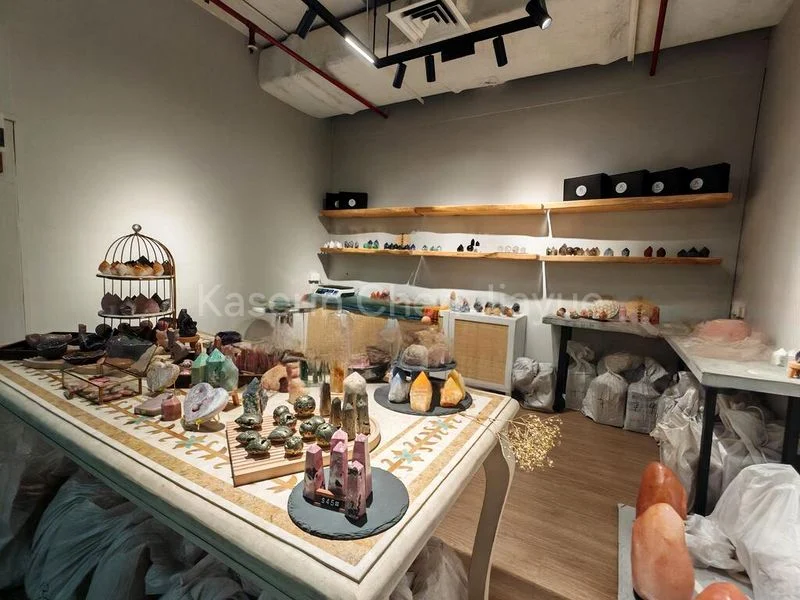 Shop / Shophouse for Sale: Bukit Timah Shopping Centre - Image 2