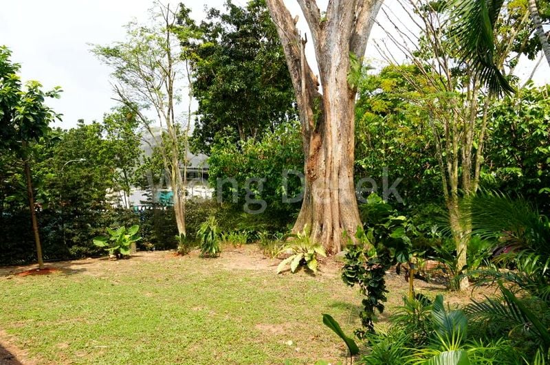 4 Bed Bungalow (Landed) for Rent in  Dunearn Estate - Image 4