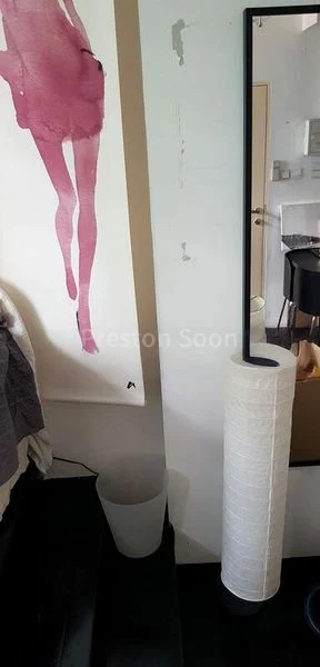 2 Bed Conservation House (Landed) for Rent in  Blair Plain Conservation Area - Image 8