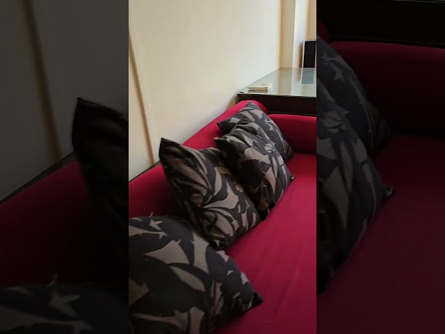 Studio Terraced House (Landed) for Rent in Everitt Road - Image 16