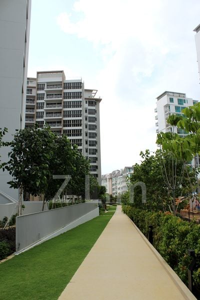 Common Room (Condo) for Rent in  Sea Esta - Image 30