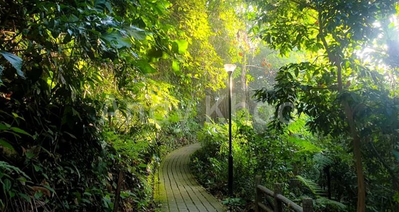 3 Bed Condo for Sale in The SEN - Image 9